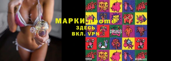 гашик Гусь-Хрустальный