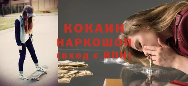 мдпв Щигры