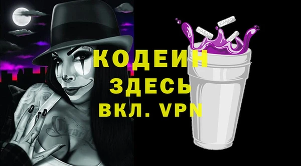 гашик Гусь-Хрустальный