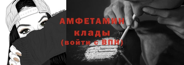 крисы Коряжма