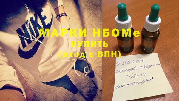 гашик Гусь-Хрустальный