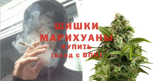эйфоретик Гусиноозёрск