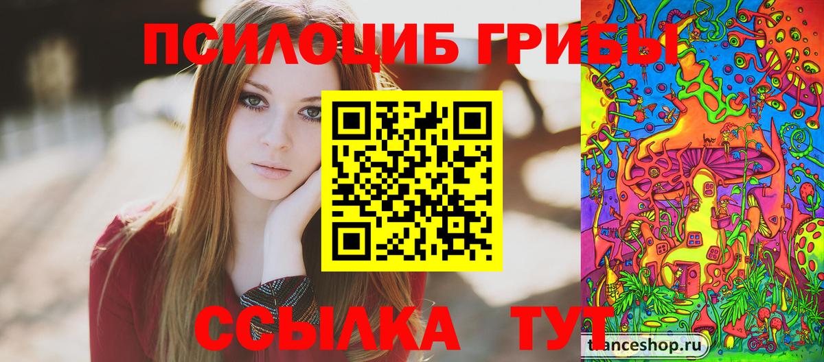 Галлюциногенные грибы Psilocybe Егорьевск